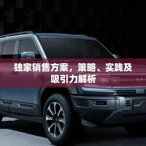 独家销售方案,策略、实践及吸引力解析