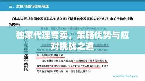 独家代理专卖，策略优势与应对挑战之道