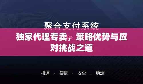 独家代理专卖,策略优势与应对挑战之道