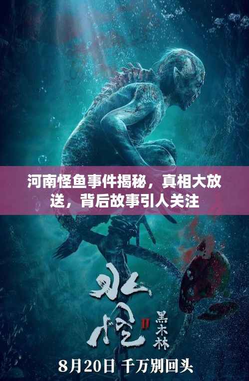 河南怪鱼事件揭秘，真相大放送，背后故事引人关注