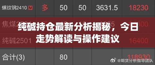 纯碱持仓最新分析揭秘,今日走势解读与操作建议