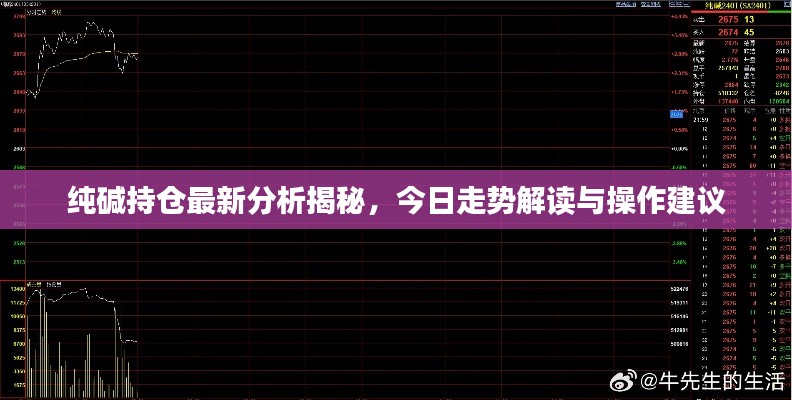 纯碱持仓最新分析揭秘,今日走势解读与操作建议
