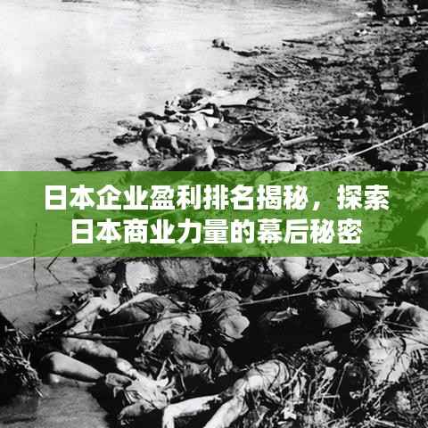 日本企业盈利排名揭秘，探索日本商业力量的幕后秘密