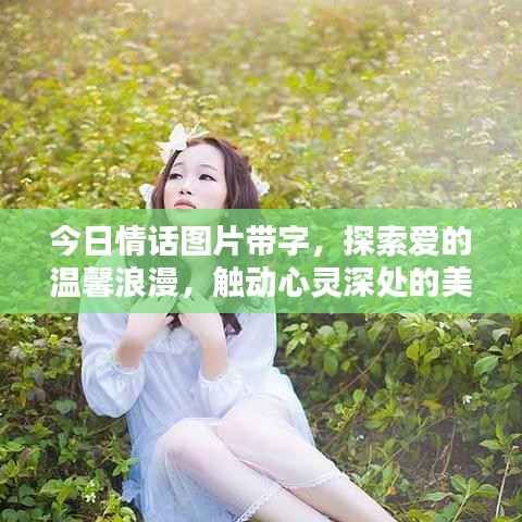 今日情话图片带字，探索爱的温馨浪漫，触动心灵深处的美好瞬间