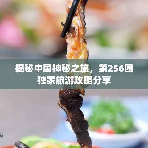揭秘中国神秘之旅,第256团独家旅游攻略分享
