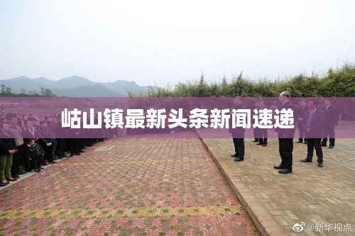 岵山镇最新头条新闻速递