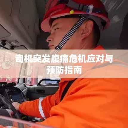 司机突发腹痛危机应对与预防指南