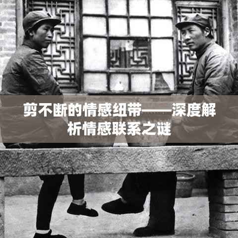剪不断的情感纽带——深度解析情感联系之谜