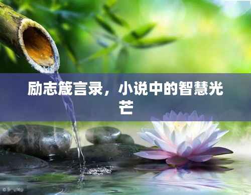 励志箴言录,小说中的智慧光芒