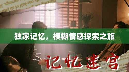 独家记忆，模糊情感探索之旅