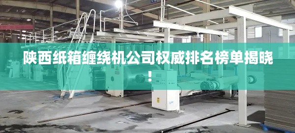 陕西纸箱缠绕机公司权威排名榜单揭晓!