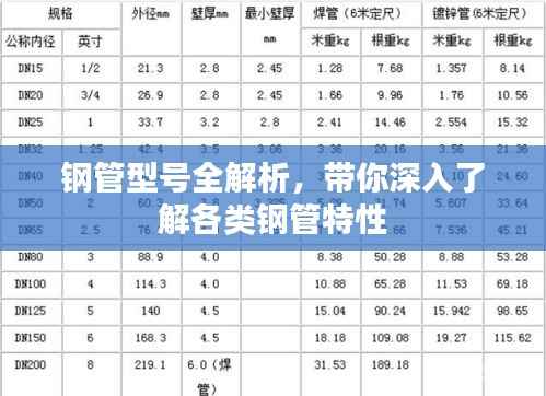 兵贵神速 第4页