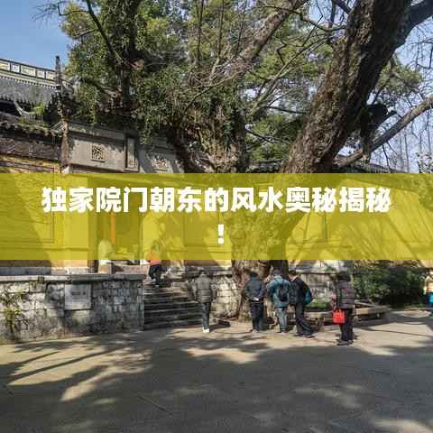 独家院门朝东的风水奥秘揭秘!