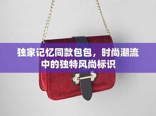 独家记忆同款包包,时尚潮流中的独特风尚标识