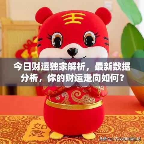 今日财运独家解析,最新数据分析,你的财运走向如何?