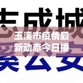 玉溪市疫情最新动态今日播报
