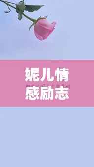 妮儿情感励志语录,激励人心的短句汇总