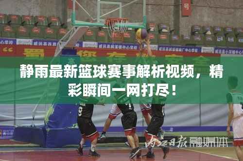 静雨最新篮球赛事解析视频,精彩瞬间一网打尽!