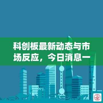 科创板最新动态与市场反应,今日消息一览