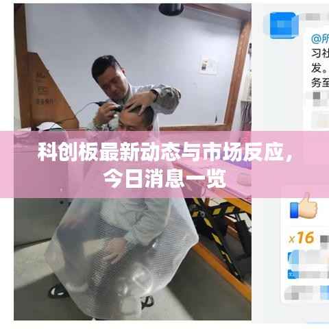 科创板最新动态与市场反应,今日消息一览