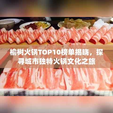 榆树火锅TOP10榜单揭晓,探寻城市独特火锅文化之旅
