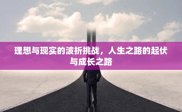 理想与现实的波折挑战,人生之路的起伏与成长之路