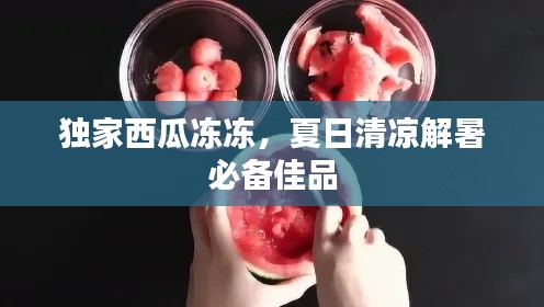独家西瓜冻冻,夏日清凉解暑必备佳品
