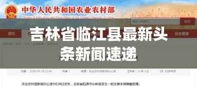 吉林省临江县最新头条新闻速递