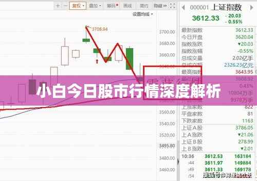小白今日股市行情深度解析