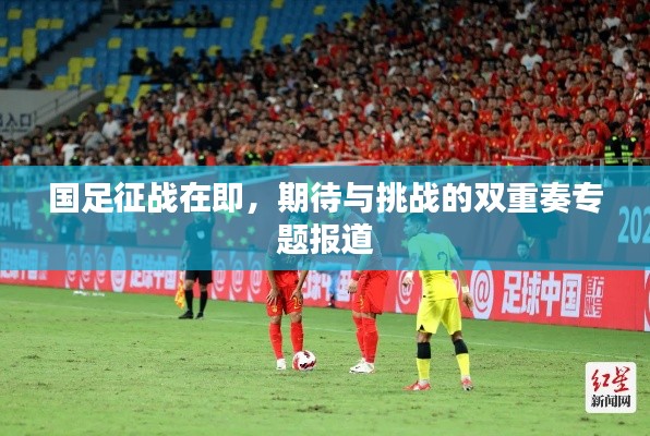 国足征战在即,期待与挑战的双重奏专题报道