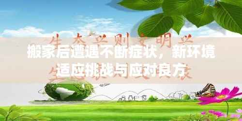 搬家后遭遇不断症状,新环境适应挑战与应对良方