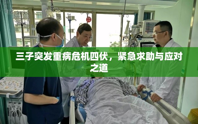 晋惠闻蛙 第4页