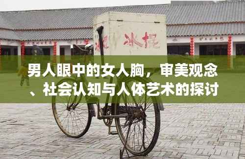 男人眼中的女人胸,审美观念、社会认知与人体艺术的探讨
