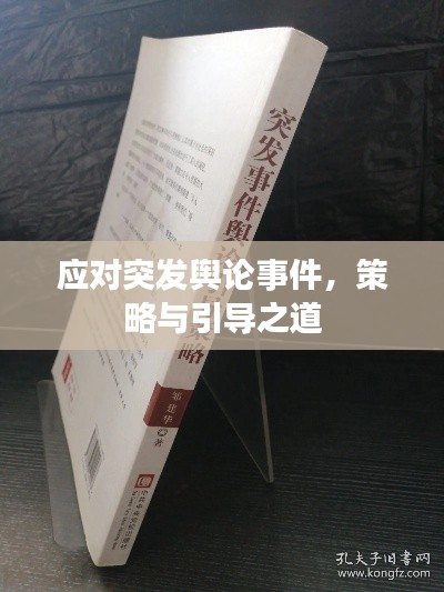 应对突发舆论事件,策略与引导之道