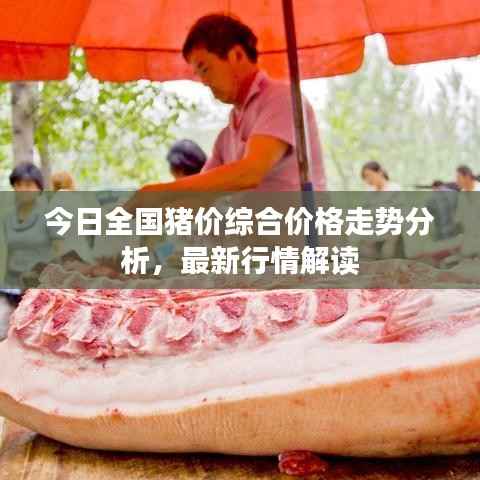 今日全国猪价综合价格走势分析,最新行情解读