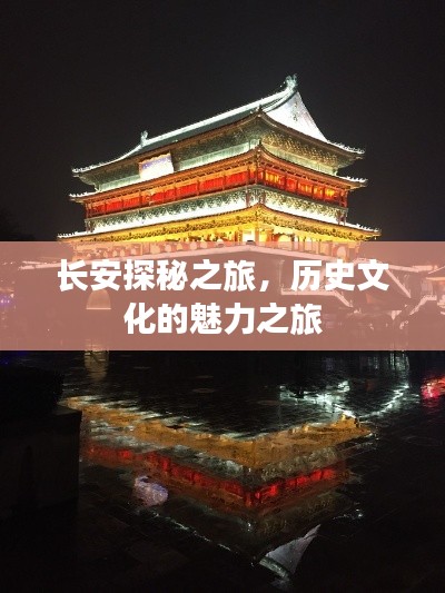 长安探秘之旅，历史文化的魅力之旅