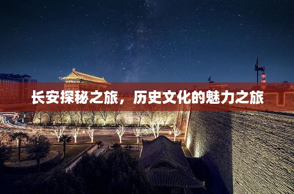 长安探秘之旅,历史文化的魅力之旅