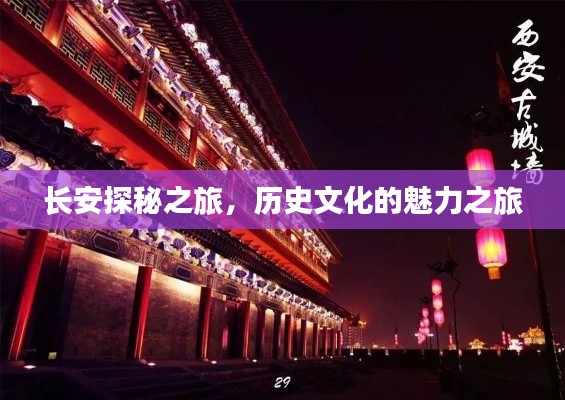 长安探秘之旅,历史文化的魅力之旅