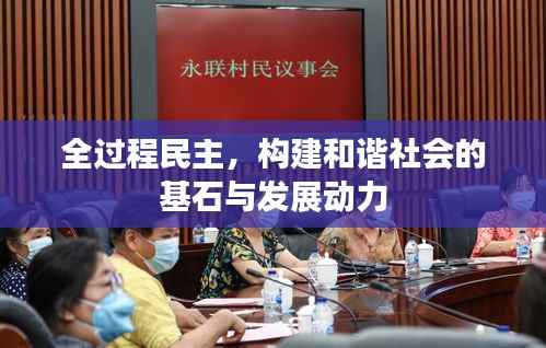 全过程民主,构建和谐社会的基石与发展动力
