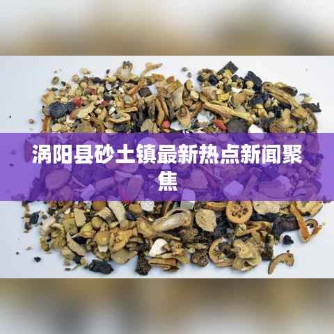 涡阳县砂土镇最新热点新闻聚焦