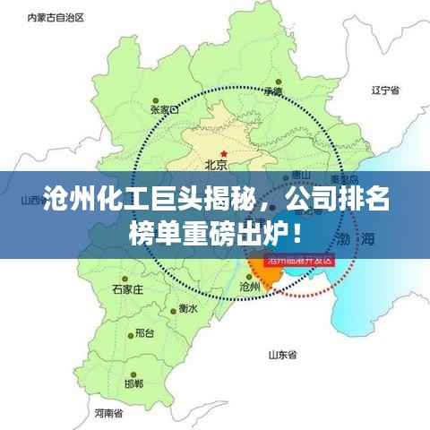 沧州化工巨头揭秘，公司排名榜单重磅出炉！