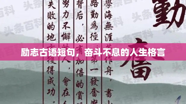 励志古语短句,奋斗不息的人生格言