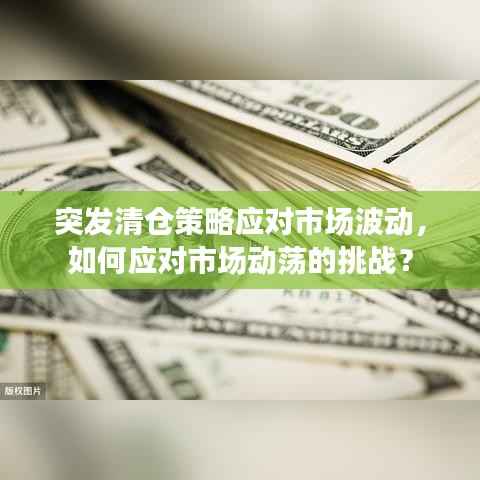 突发清仓策略应对市场波动,如何应对市场动荡的挑战?