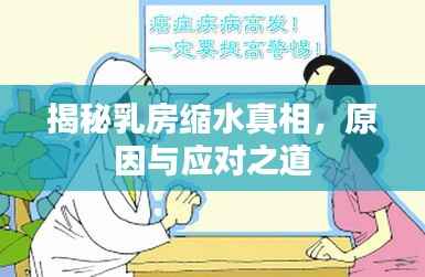 揭秘乳房缩水真相,原因与应对之道