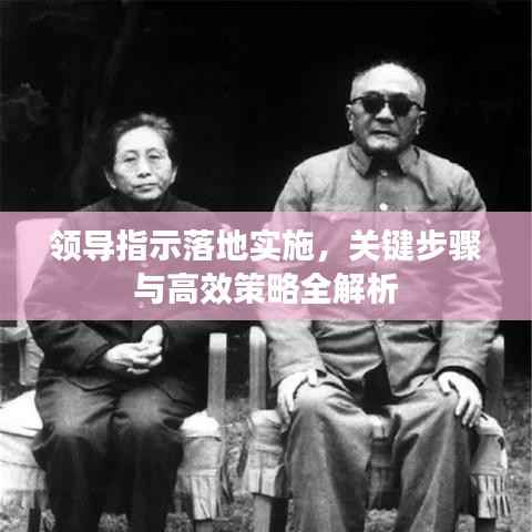 领导指示落地实施,关键步骤与高效策略全解析