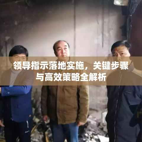 领导指示落地实施,关键步骤与高效策略全解析