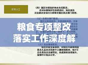 粮食专项整改落实工作深度解读,政策、实践与成效解析