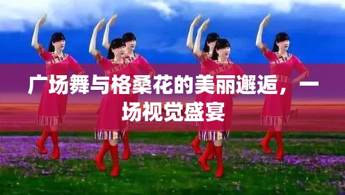 广场舞与格桑花的美丽邂逅,一场视觉盛宴