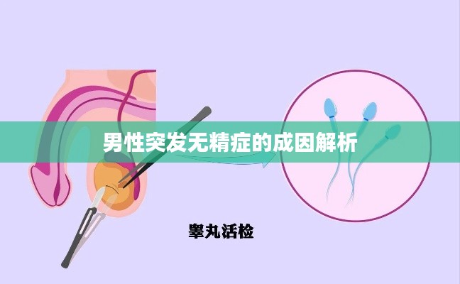 男性突发无精症的成因解析