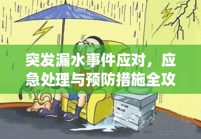 突发漏水事件应对,应急处理与预防措施全攻略